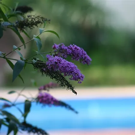 B&B Bois Joli De La Freyere