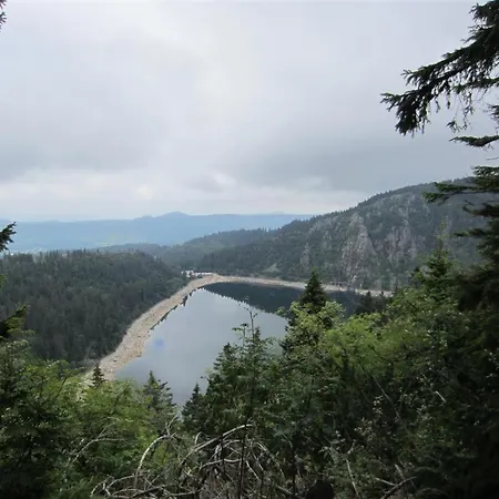 Bois Joli De La Freyere 3*