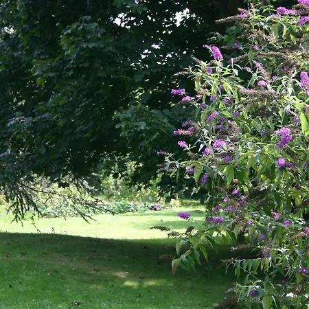 B&B Bois Joli De La Freyere 3*